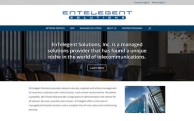 EnTelegent Solutions