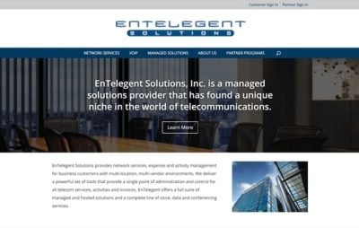 EnTelegent Solutions