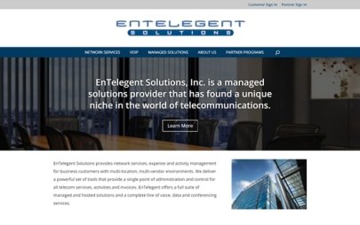 EnTelegent Solutions